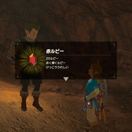 【ゼルダBOW】馬宿に集う旅人(モブ)密着第二弾!