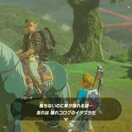 【ゼルダBOW】馬宿に集う旅人(モブ)密着第二弾!