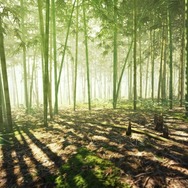 【2/9更新】『真・三國無双8』登場武将や対応機種は？現時点の情報まとめ