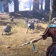 【2/9更新】『真・三國無双8』登場武将や対応機種は？現時点の情報まとめ