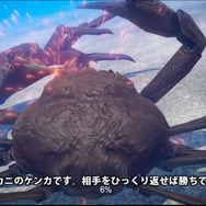 新たな魚介ゲー現る！？ 『カニノケンカ』体験版がコミケで頒布