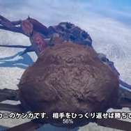 新たな魚介ゲー現る！？ 『カニノケンカ』体験版がコミケで頒布