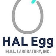 ハル研究所が新ブランド「HAL Egg」を立ち上げ―新規キャラクターによるゲームアプリを開発中