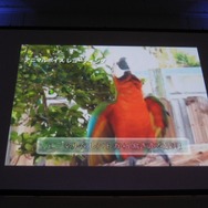 【モンスターハンターアニバーサリーパーティ】5周年を記念する企画の数々が明らかに(1)