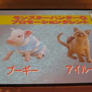 【モンスターハンターアニバーサリーパーティ】気になるWiiの『3(トライ)』と『G』の最新情報(2)