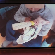 【モンスターハンターアニバーサリーパーティ】気になるWiiの『3(トライ)』と『G』の最新情報(2)