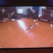 【モンスターハンターアニバーサリーパーティ】気になるWiiの『3(トライ)』と『G』の最新情報(2)