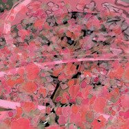 PS4/Xbox One/PC『大神 絶景版』国内発売決定―PS3版をさらにリファイン!