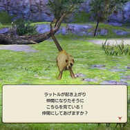 【特集】事前登録者数150万人突破の超話題作『CARAVAN STORIES』、5人のライターが魅力を語る