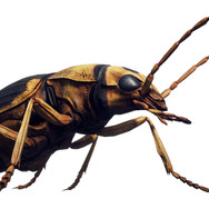 アクションTPS『EARTH DEFENSE FORCE: IRON RAIN』から新情報到着！舞台の背景や謎の敵が明らかに