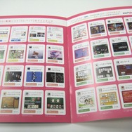 ニンテンドーDSi「春の新色 3.20 発売」パンフ配布中、店頭にはモックも