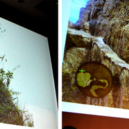 【UNREAL FEST EAST 2017】堀井氏がSwitch版『DQXI』の最新情報をポロリ!?　ここだけのエピソードが満載だった『DQXI』基調講演