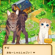 【プレイレポ】ふわふわ動くねこたちのもふもふ感がたまらない！ねこ好き必見アプリ『ねこ島日記』