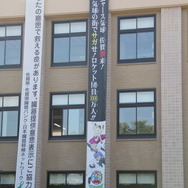 【フォトレポート】佐賀県各地に出没したラブリーチャーミーなニャースに密着！