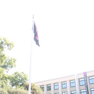 【フォトレポート】佐賀県各地に出没したラブリーチャーミーなニャースに密着！