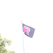 【フォトレポート】佐賀県各地に出没したラブリーチャーミーなニャースに密着！