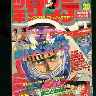 少年サンデー・少年マガジン生誕50周年大同窓会に行ってきました