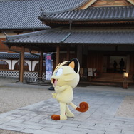 【フォトレポート】佐賀県各地に出没したラブリーチャーミーなニャースに密着！