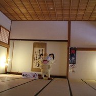 【フォトレポート】佐賀県各地に出没したラブリーチャーミーなニャースに密着！