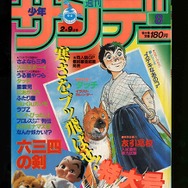 少年サンデー・少年マガジン生誕50周年大同窓会に行ってきました