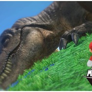 【特集】『スーパーマリオ オデッセイ』おすすめフォトスポット8選！ここで撮影すればインスタ映えする!?