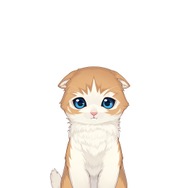 ねこと戯れるパズルゲーム『ねこ島日記』の正式サービスが開始―リリース記念キャンペーンも開催