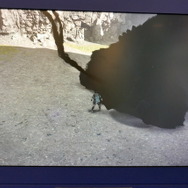 PS4版『ワンダと巨像』最速ハンズオン！パリゲームウィーク前夜祭で再会したあの「達成感」…