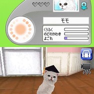 カジュアルシリーズ2980 Petz Catz キャッツ