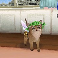 カジュアルシリーズ2980 Petz Catz キャッツ
