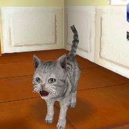 カジュアルシリーズ2980 Petz Catz キャッツ