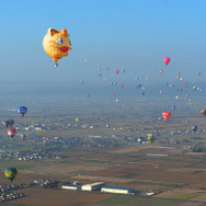 飛んだ！ニャース気球！ 佐賀バルーンフェスタで大空へ！！