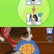 カジュアルシリーズ2980 Petz Dogz ドッグズ