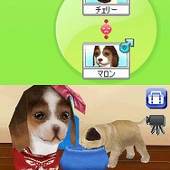 カジュアルシリーズ2980 Petz Dogz ドッグズ