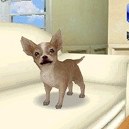 カジュアルシリーズ2980 Petz Dogz ドッグズ