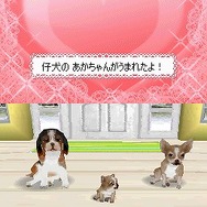 カジュアルシリーズ2980 Petz Dogz ドッグズ