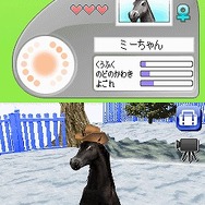 カジュアルシリーズ2980 Petz Horsez ホースズ