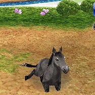 カジュアルシリーズ2980 Petz Horsez ホースズ