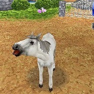 カジュアルシリーズ2980 Petz Horsez ホースズ