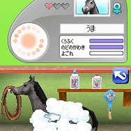 カジュアルシリーズ2980 Petz Horsez ホースズ