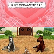 カジュアルシリーズ2980 Petz Horsez ホースズ
