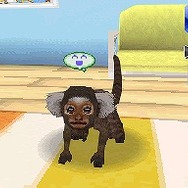 カジュアルシリーズ2980 Petz Monkeyz モンキーズ