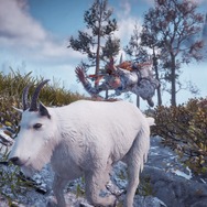 【プレイレポ】『Horizon Zero Dawn: 凍てついた大地』は“スクショ映え”する絶景&名シーンだらけの新DLCだった