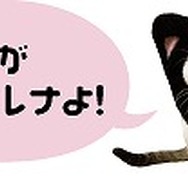 女番社長レナWii