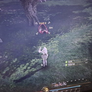 【G-STAR 2017】大空を舞い戦え！Bluehole新作『Ascent: Infinite Realm』プレイレポ