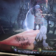 【G-STAR 2017】大空を舞い戦え！Bluehole新作『Ascent: Infinite Realm』プレイレポ