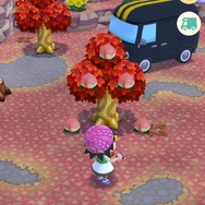 【特集】『どうぶつの森 ポケットキャンプ』効率よく仕事する8つのテクニック ─ どうぶつから金をもらう秘訣は“イス”！