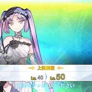 【読者アンケート】「『FGO』で今足りないものは？」育成編─欲しいのは種火？ それともスキル素材？