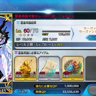 【読者アンケート】「『FGO』で今足りないものは？」育成編─欲しいのは種火？ それともスキル素材？