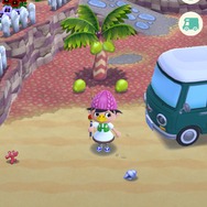 【特集】『どうぶつの森 ポケットキャンプ』リーフチケットはどこで使えばお得？各課金要素を検証してみた