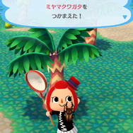 『ポケ森』クール勢のキャンプ場運営日記 ～おいしいですよね、カブトムシ～
